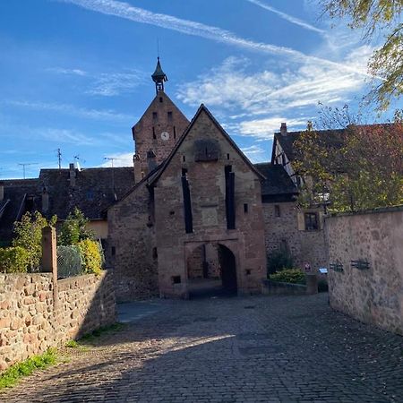 Riquewihr Centre Historique Daire Dış mekan fotoğraf